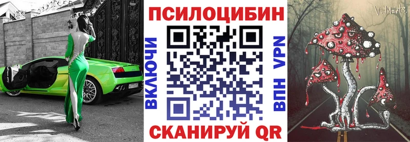 где найти наркотики  Чапаевск  дарк нет клад  Галлюциногенные грибы мицелий 