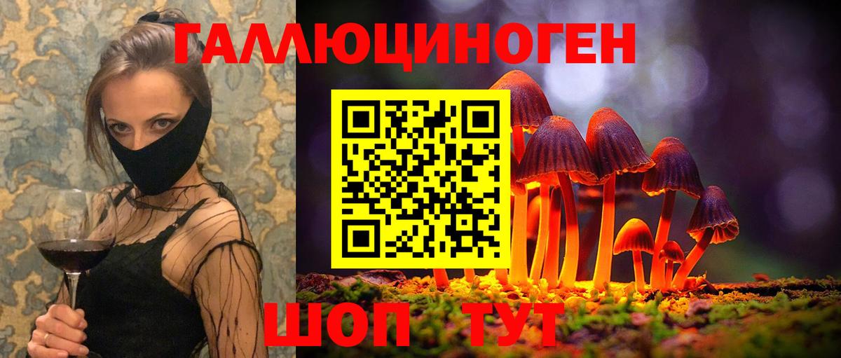 Чапаевск  Псилоцибиновые грибы ЛСД  Вход с VPN 