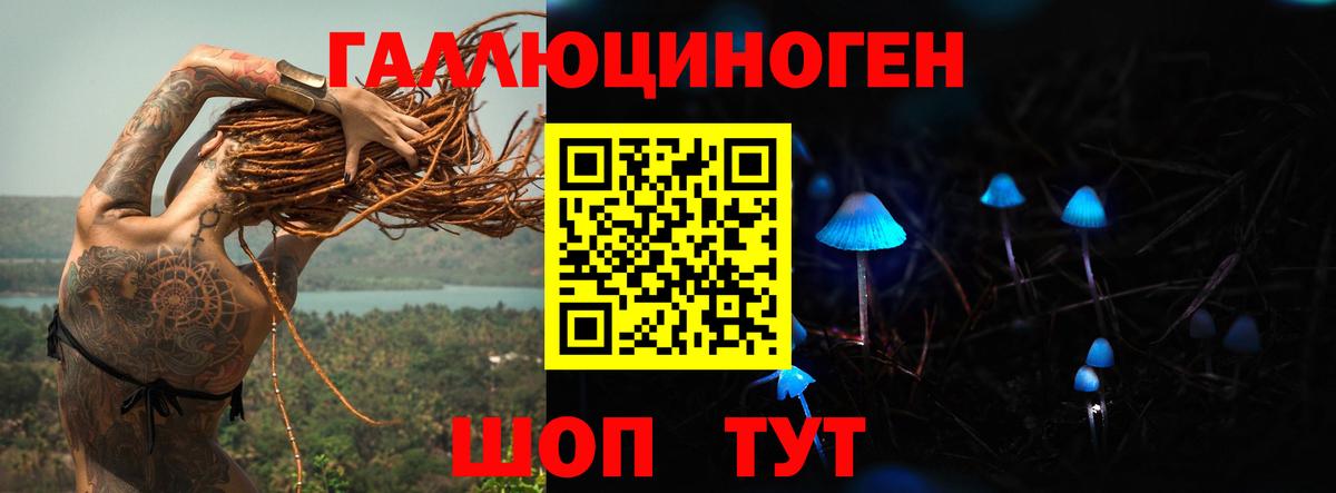 Псилоцибиновые грибы Cubensis Чапаевск